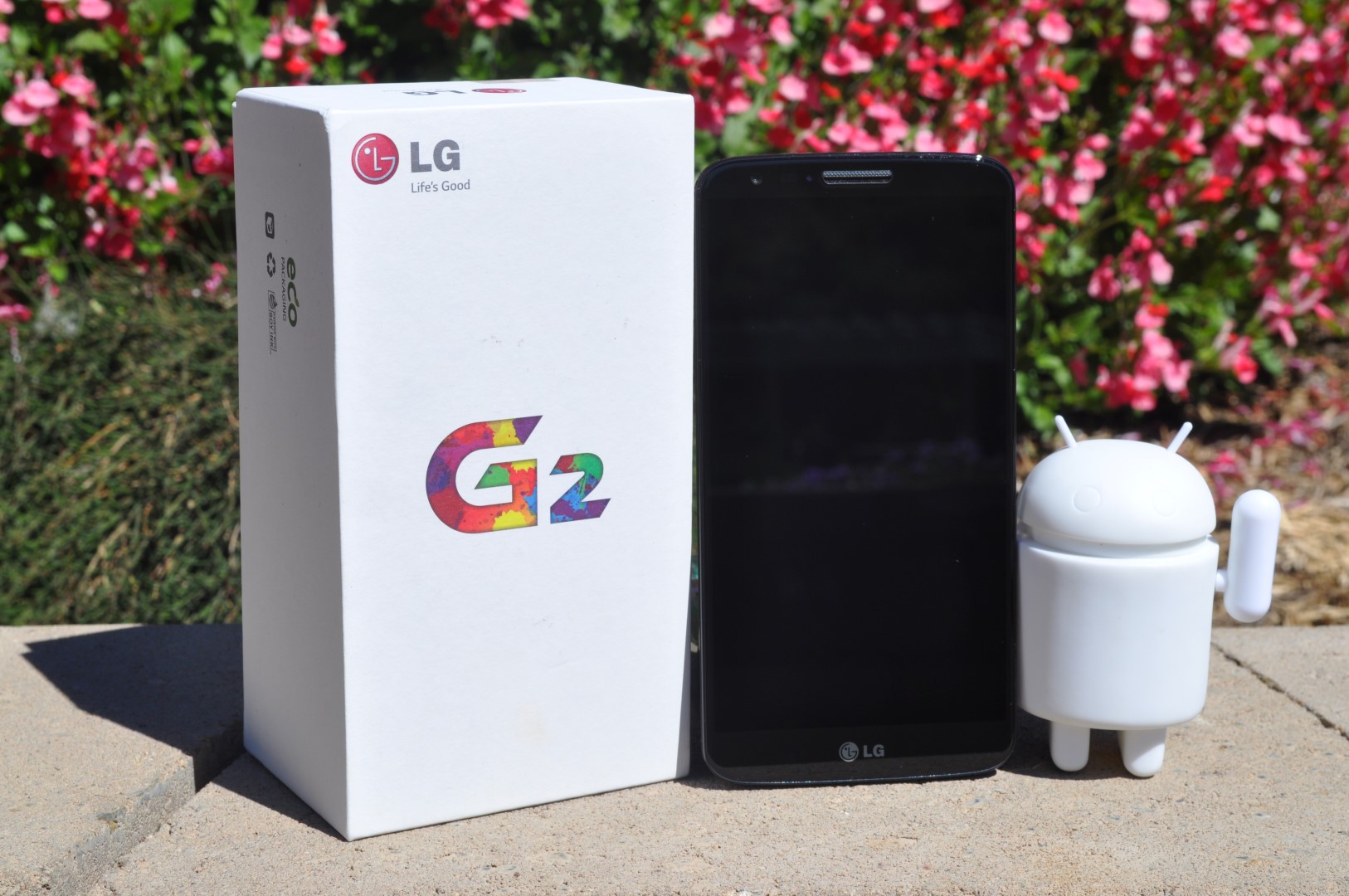 LG G2  (Large)