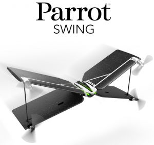 parrot-swing