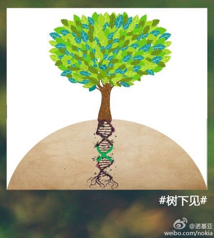 Nokia Weibo - Roots-DNA