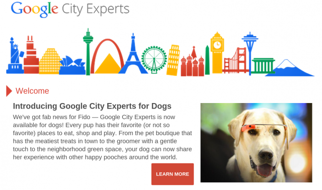 Google City Experts