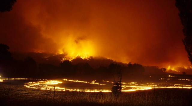 Canberra-bushfires-padock-fire