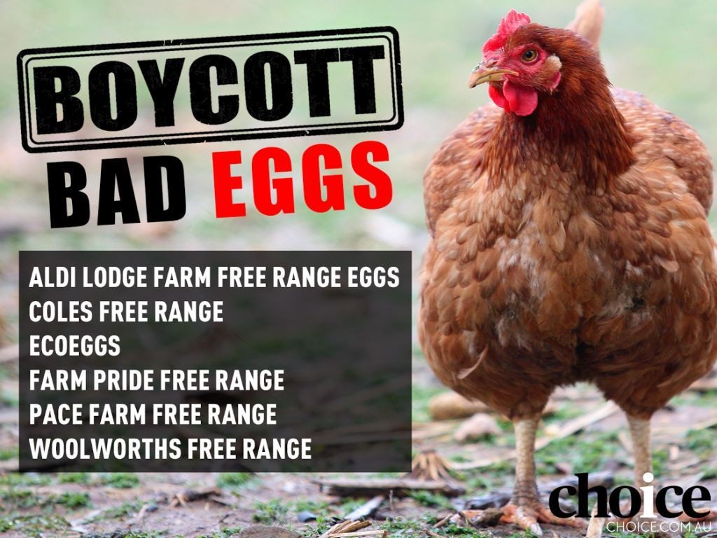 Boycott-bad-eggs-list
