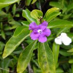 IMG_20161216_123310