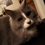 IMG_20180524_221414.jpg