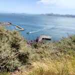 IMG20190505052551