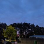 Pixel 4 night