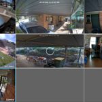 Reolink App multicam view