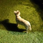 IMG_20201029_211814
