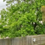 IMG_20201031_132710