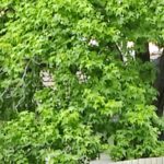 IMG_20201031_132716