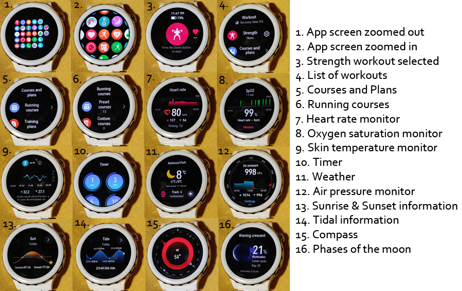 16 different pictures of apps on the watch