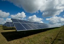 solar panels on green field