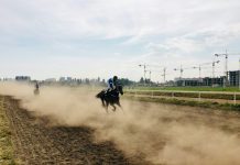a group of people riding on the backs of horses