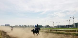 a group of people riding on the backs of horses