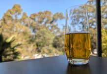 iGulu F1 — Smart home brewing — Australian Review